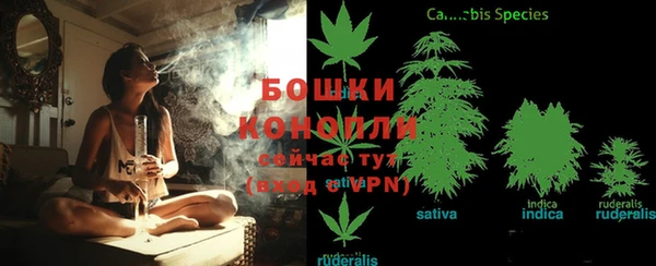 прущая мука Протвино