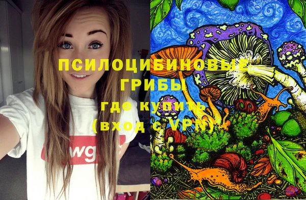 круглые Богородицк