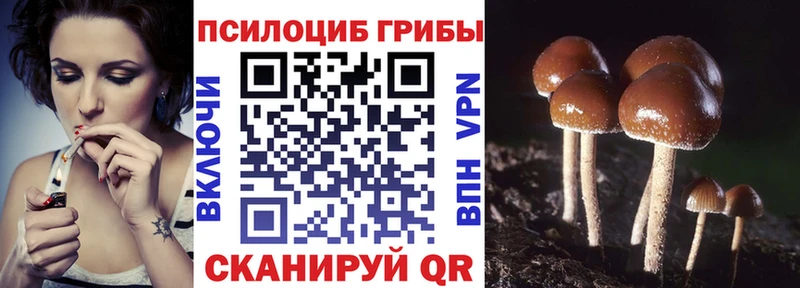 ссылка на мегу как зайти  как найти наркотики  Киселёвск  Галлюциногенные грибы ЛСД 